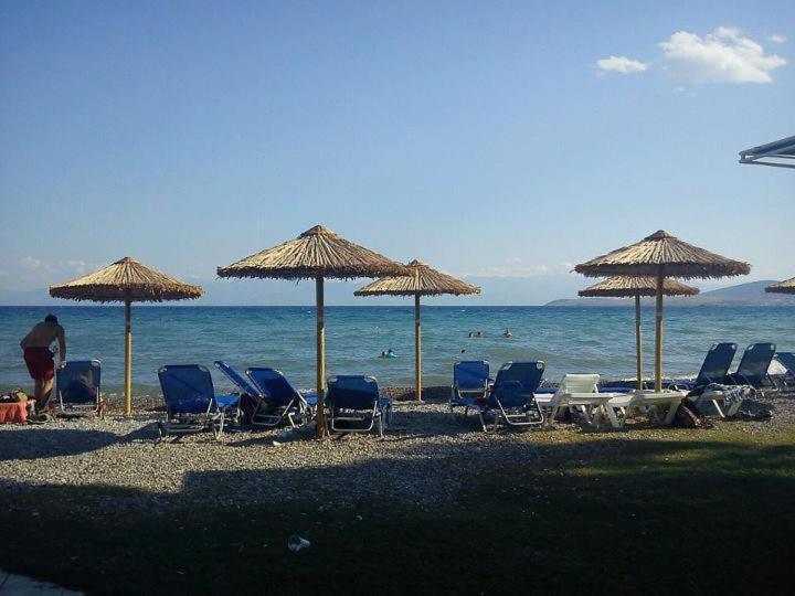 Nafsika Beach Delphi-Itea Bagian luar foto