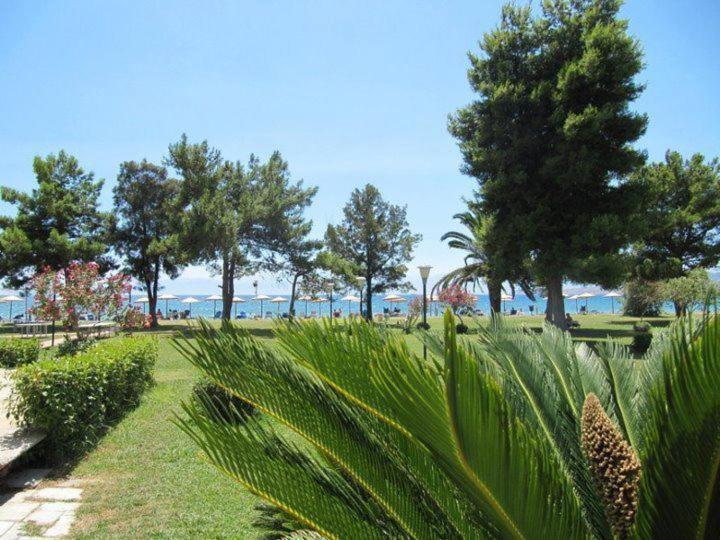Nafsika Beach Delphi-Itea Bagian luar foto